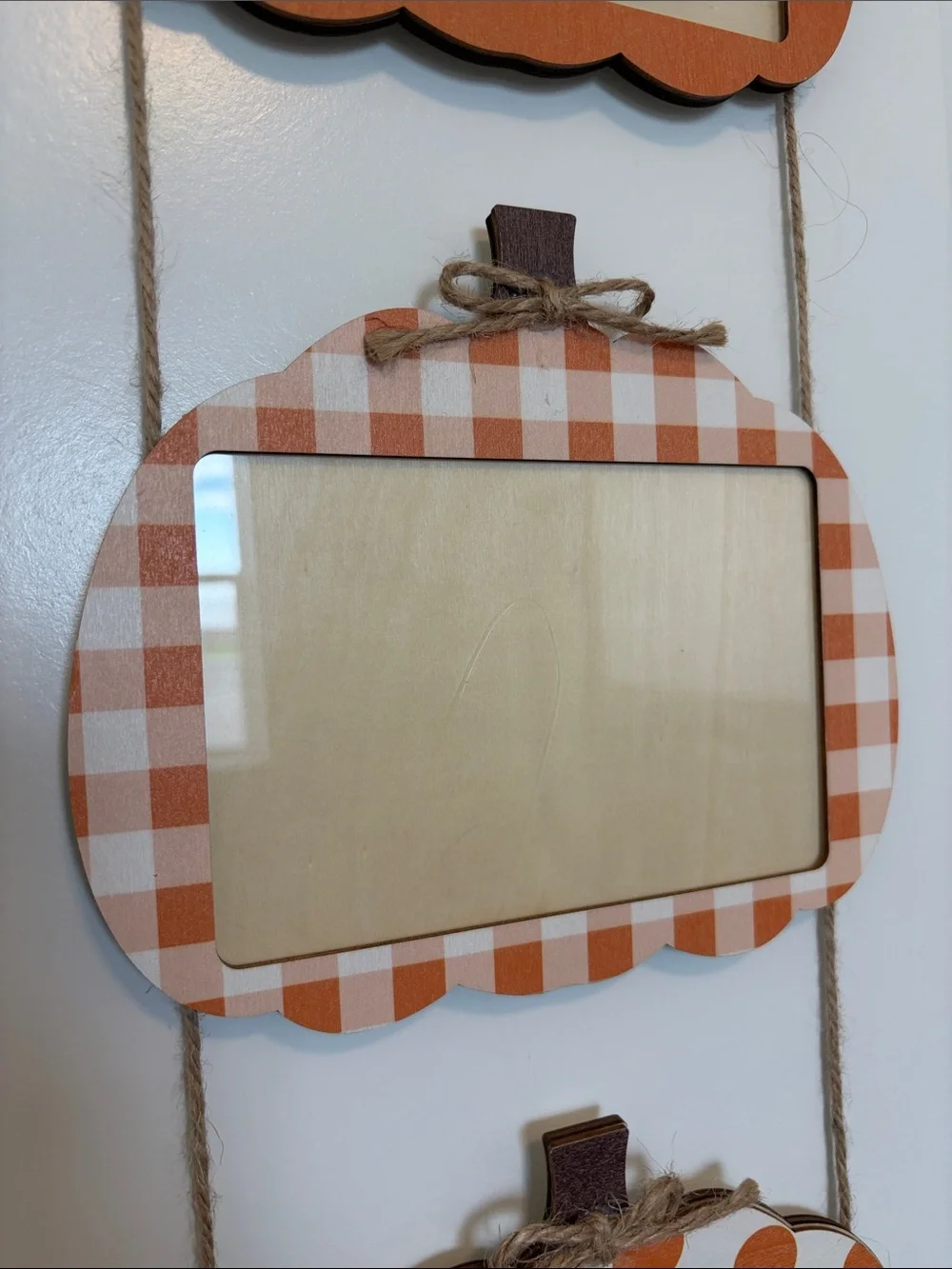 N/A charming pumpkin